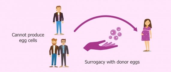 Surrogacy with donor egs